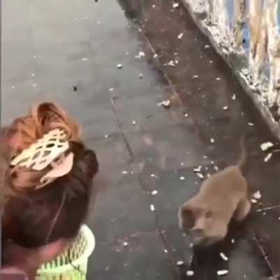 Yo tratando de robarle el coraz&oacute;n a una nalg&oacute;tica&hellip;