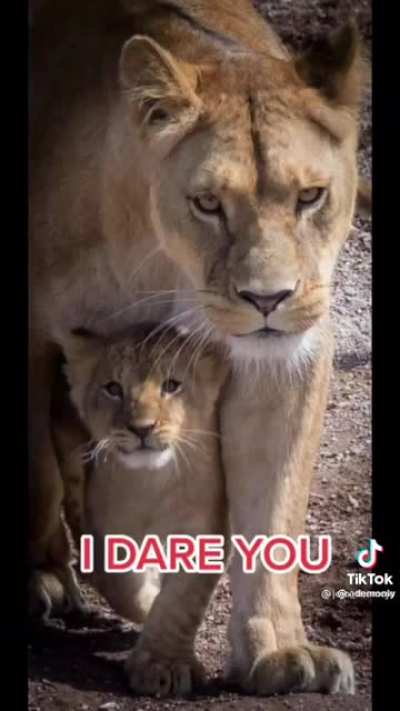 This anti-vax mom