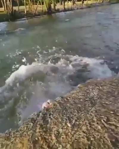HMC while I pose for a photo