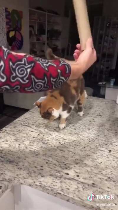 She demands the drum