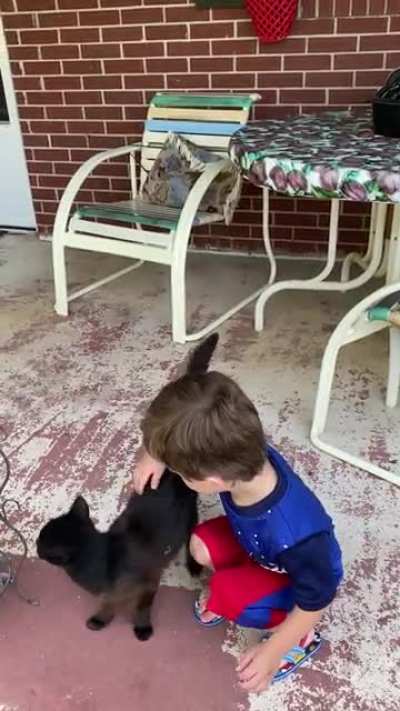 Smudge is a good ol&rsquo; girl that deserves some pets