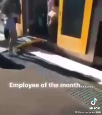Good job?