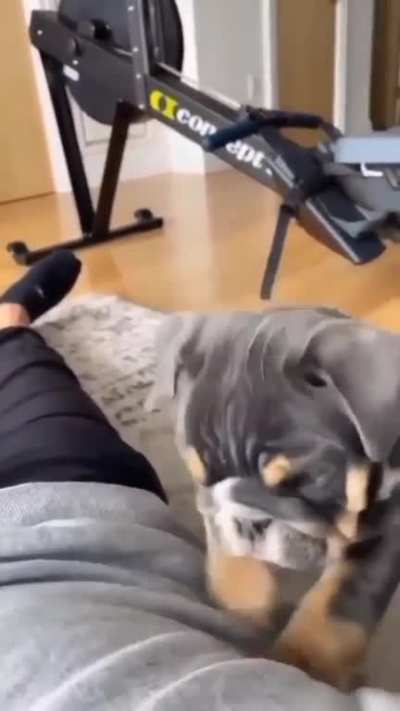 ...