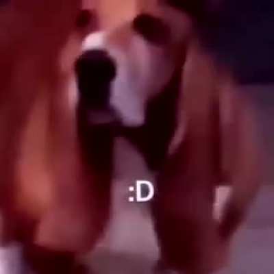Outlaw.mp4