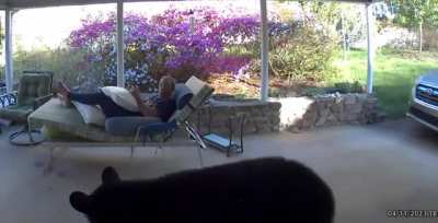 Quiet afternoon until a guest arrives