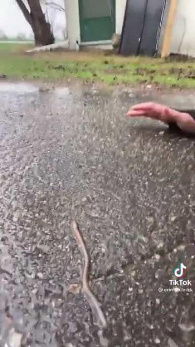 Didn&rsquo;t see that coming