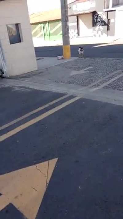 Cachorro de uniforme