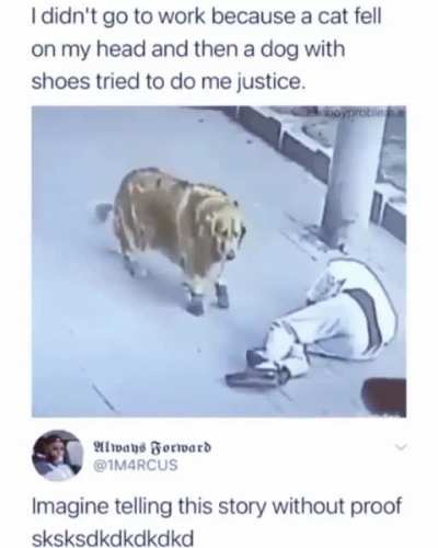 Boss you won't believe what happened