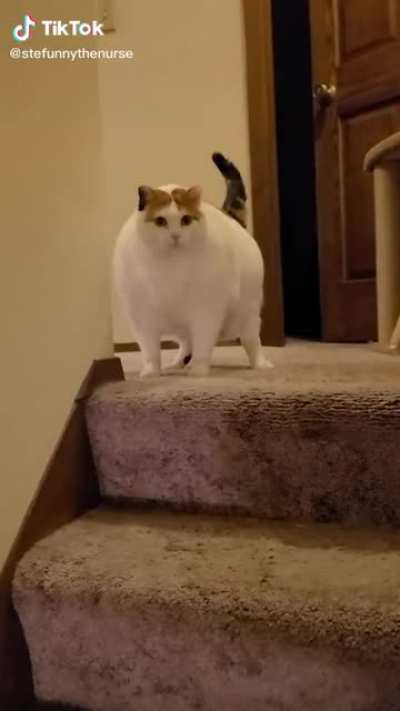 OH LAWD SHE COMING