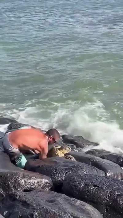 This man saved a turtle stuck in the rocks