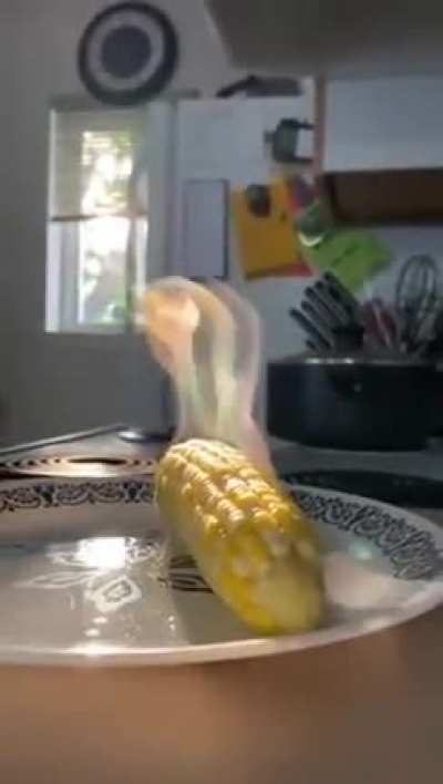 Corn is lit
