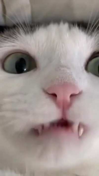 -ня!