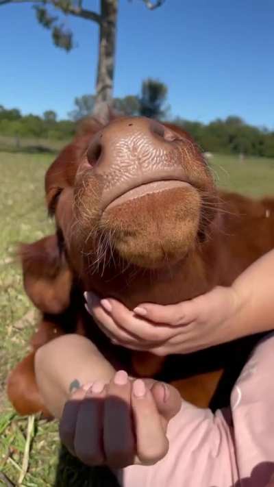 "Get under the chin please"
