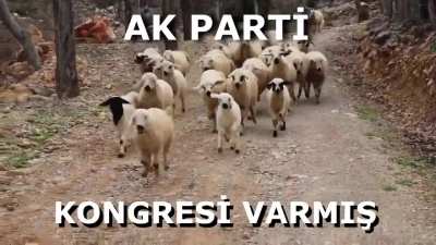 hamdolsun inşallah