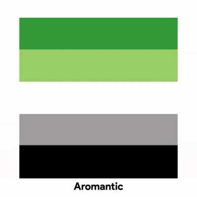 Happy Pride everyone! I made a short guide to some popular pride flags!