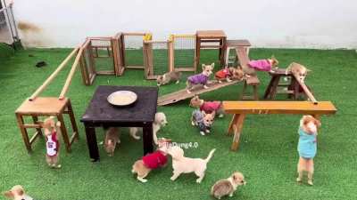Obstacle course