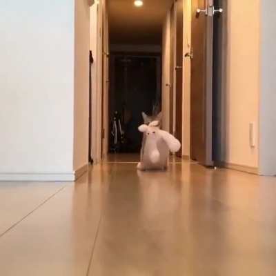 Oh lawd he coming!