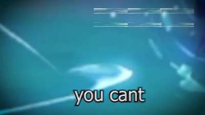 That one flying bug that keeps evading