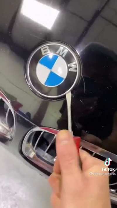 Thanks, I hate removing car emblems