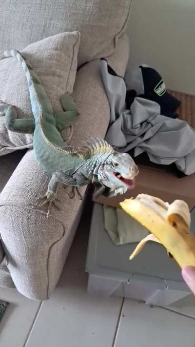 Banana