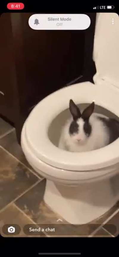 I thought I heard splashing coming from the bathroom&hellip;