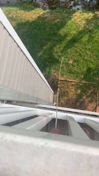 Off the balcony
