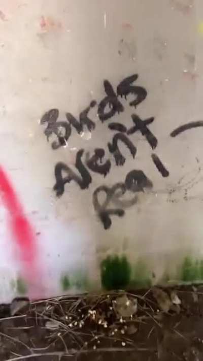 Birdsarentreal
