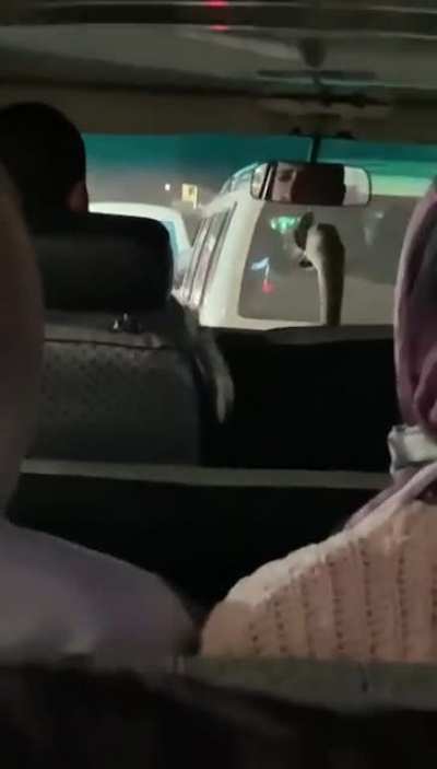 Found a goose taking public transportation bus in Egypt