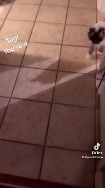Tag! You&rsquo;re it!