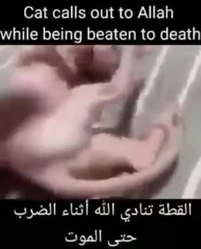 0_0