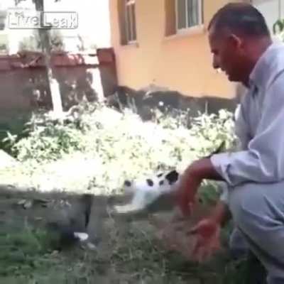 Aww