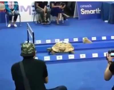 Maybe maybe maybe