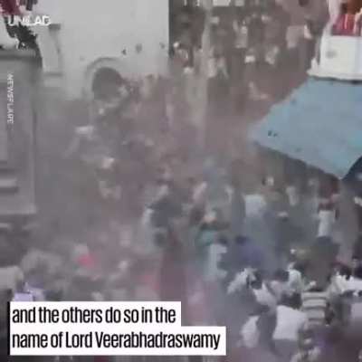 India throws a shitstorm