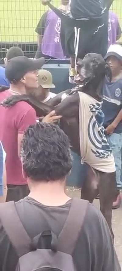 Visto hace un rato en la cancha de Gimnasia.