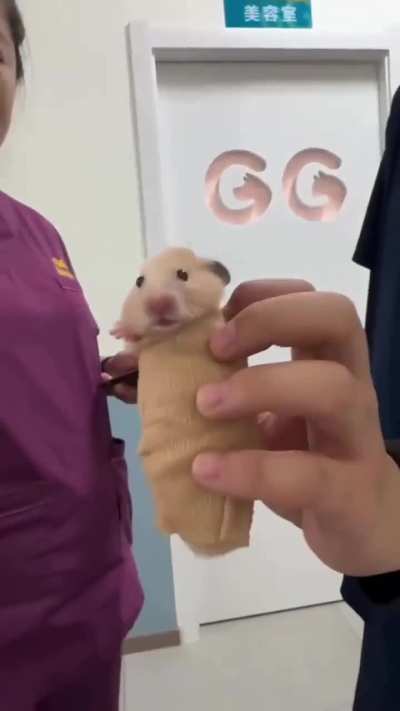 God sending hamsters into the matrix to be tortured for eternity by Richard Gere
