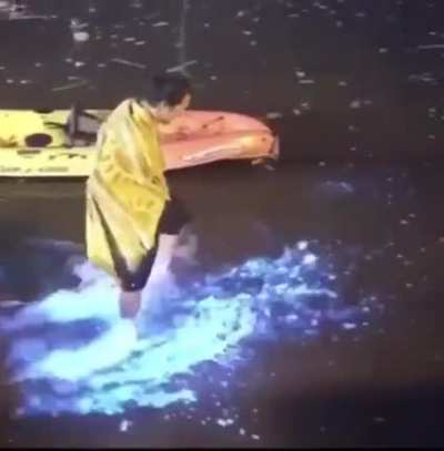 Plankton's Bioluminescence