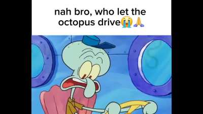 American Octopus