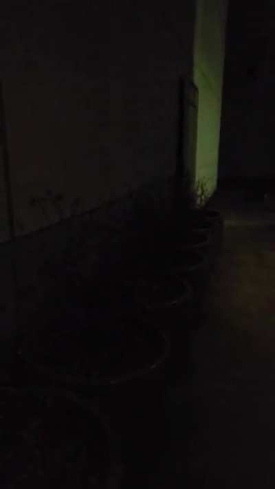 liminal back alley