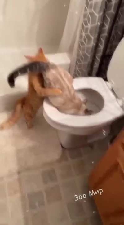 Are you sure there are fish there?