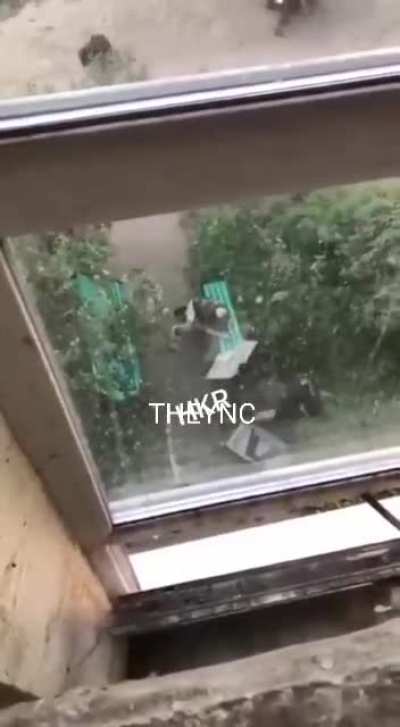 Police tried to stop suicide by grenade... they failed.
