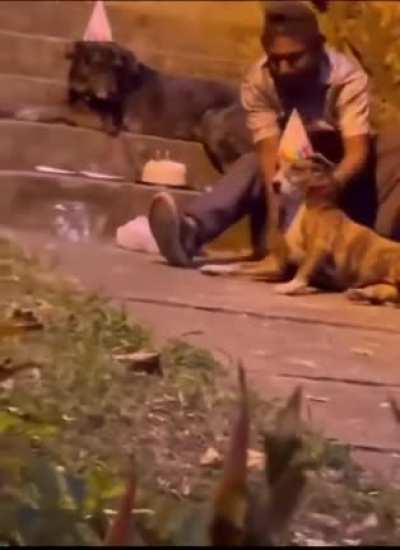 Днюшка)