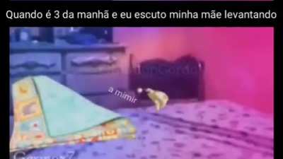 A MIMIR