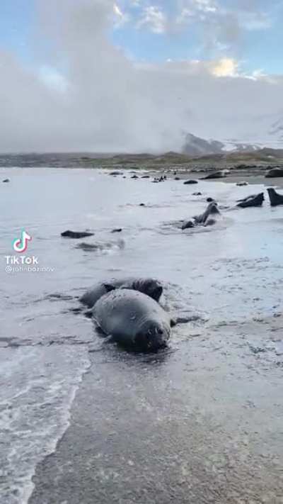 Some seaweed probably touched him.