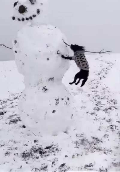 dis mine