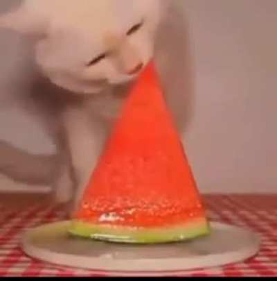 *schlomp*