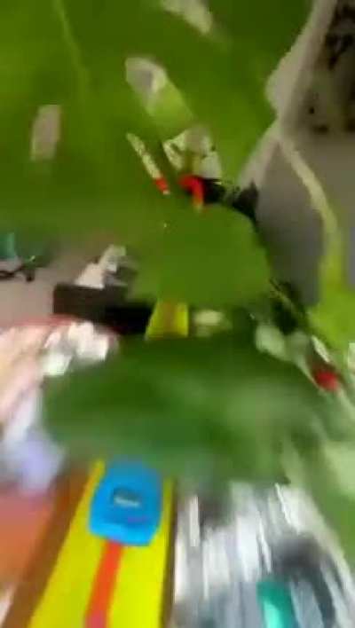 Maybe maybe maybe