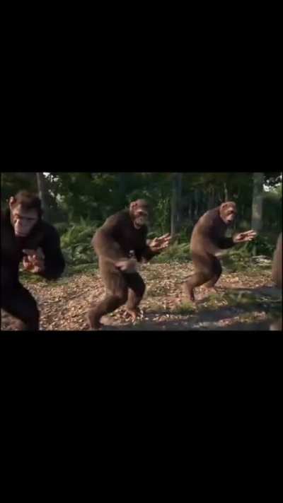 Now that&rsquo;s what I call ape