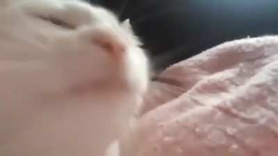 Me every day