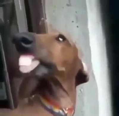 h&deg;0Jjjjjjjjjjjjjjj
