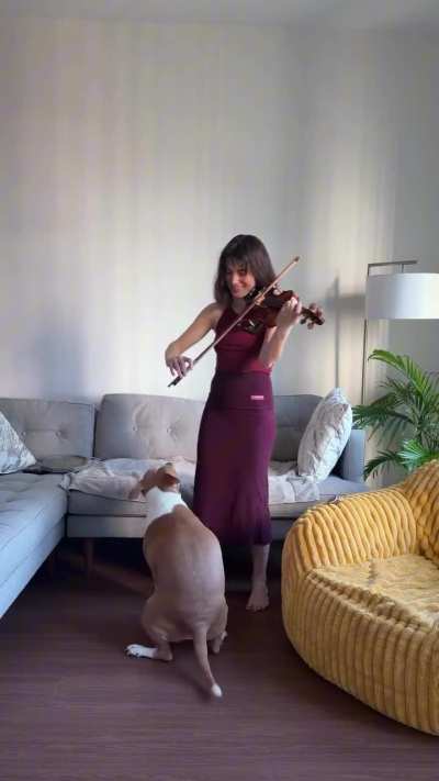 Her reaction to the dog's reaction to hearing a violin played